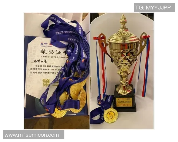 武汉羽毛球队在锦标赛中的团队协作表现分析与点评